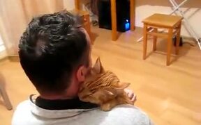 Cat In Need Of Some Affection