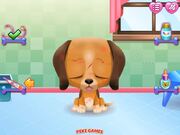 Cute Puppy Care Walkthrough - Games - Y8.COM