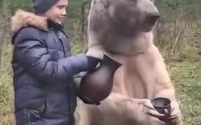 Russians Don't Keep Dogs, They Keep Bears As Pets - Animals - VIDEOTIME.COM