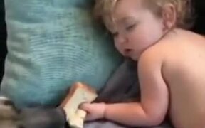 Doggo Casually Eats Kid's Snack - Animals - VIDEOTIME.COM