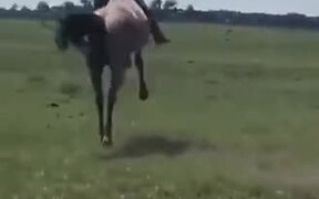 Guy Does A Full 360° On Rowdy Horse!