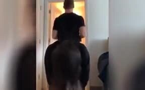 When Someone Is Literally Horsing Around - Fun - VIDEOTIME.COM