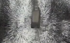 This Is What A Magnetic Field Looks Like