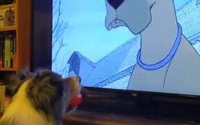 Dog Just Enjoying A Scooby Doo Movie!