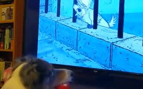 Dog Just Enjoying A Scooby Doo Movie! - Animals - VIDEOTIME.COM