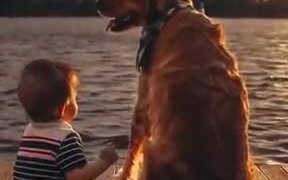 Dogs Are Nothing But Pure Happiness And Love! - Animals - VIDEOTIME.COM