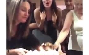 It's The Doggo's Happy Birthday! - Animals - VIDEOTIME.COM