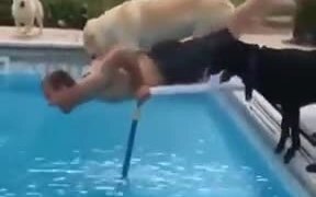 Dog And Guy Jumping Into The Pool! - Fun - VIDEOTIME.COM