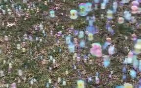 Bubbles On Wet Grass Looks Magical! - Fun - VIDEOTIME.COM
