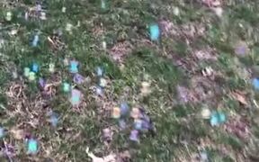 Bubbles On Wet Grass Looks Magical!