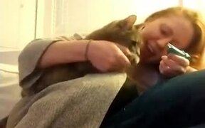 This Is The Most Civil Cat In Existence - Animals - VIDEOTIME.COM