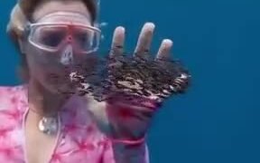 Playing With An Entire Shoal Of Fishes! - Fun - VIDEOTIME.COM
