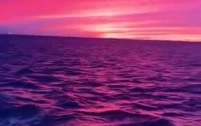 The Beautiful Lilac Sunset Of The Coast Of Oregon - Fun - VIDEOTIME.COM
