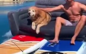 This Is The Actual Couch Surfing!