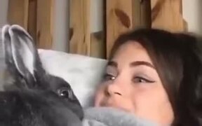 Bunny Does What This Woman Does - Animals - VIDEOTIME.COM