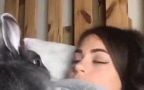 Bunny Does What This Woman Does - Animals - VIDEOTIME.COM