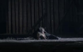 Shepherd: The Story of a Jewish Dog Trailer - Movie trailer - VIDEOTIME.COM