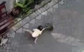 Unexpected Monkey Attack
