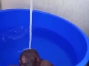 Baby Orangutan Relaxing In The Bath - Animals - Y8.COM