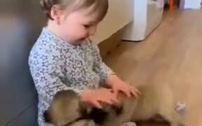 The Combination Of A Human Baby And Puppies