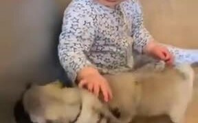 The Combination Of A Human Baby And Puppies