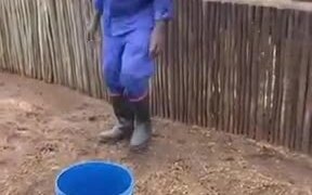 How Elephants Drink Water - Animals - VIDEOTIME.COM