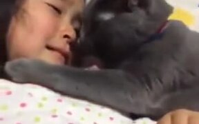 Kitty Comforting Little Crying Girl - Animals - VIDEOTIME.COM