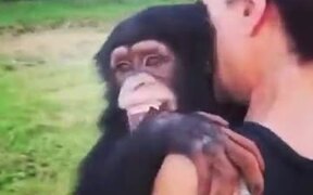 A Reason To Raise A Chimp