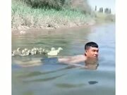 Ducklings Following A Man In Water - Fun - Y8.COM