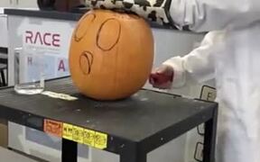 Chemistry + Halloween Carved Pumpkin