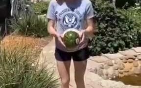 The Melon Didn't Like Her - Fun - VIDEOTIME.COM
