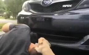 Puppy Helping Daddy To Fix A Car - Animals - VIDEOTIME.COM