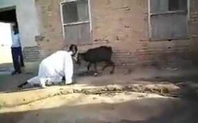 How To Fight Goats Properly