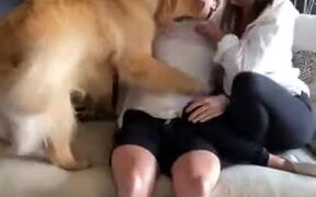 Dog Wants More Attention Than A Girlfriend
