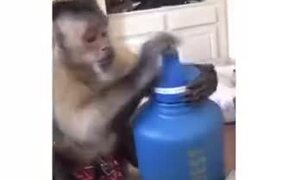When A Monkey Receives A New Water Bottle - Animals - VIDEOTIME.COM