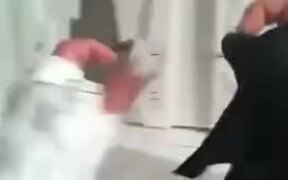 Hand Puppet Ninjas Fighting