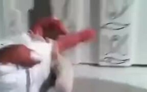 Hand Puppet Ninjas Fighting