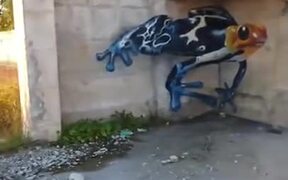 3D Graffiti Art Of A Giant Frog - Fun - VIDEOTIME.COM