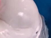Beluga Whales Have A Soft Head