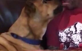 When A Dog Is Truly Man's Best Friend - Animals - VIDEOTIME.COM