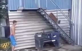A Dog That Makes You Workout - Fun - VIDEOTIME.COM