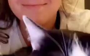 A Cat That Kisses