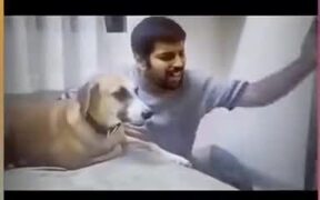 Dog Loves Vocal Training - Animals - VIDEOTIME.COM