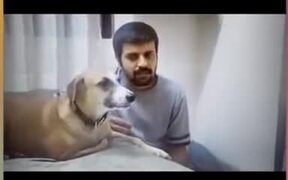 Dog Loves Vocal Training
