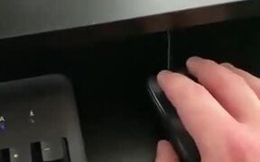 Cat Vs The Wrong Mouse