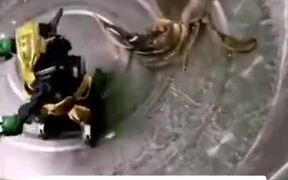 Deathmatch Between Robot And A Crab