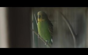 Kindred Trailer - Movie trailer - VIDEOTIME.COM