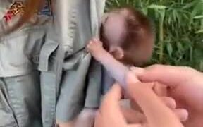Baby Monkey Wants Human Mother - Animals - VIDEOTIME.COM