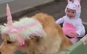 Little Girl Living Her Unicorn Dream - Animals - VIDEOTIME.COM