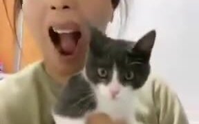 How To Scare Your Cat - Animals - VIDEOTIME.COM